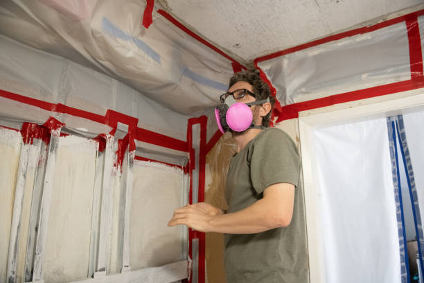 Best Emergency Mold Remediation  in Braddock, PA