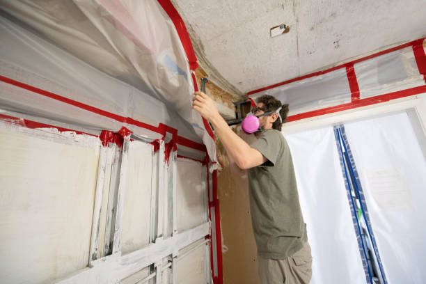 Braddock, PA Mold Removal Company